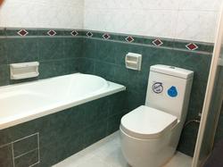 Tiara (D9), Condominium #73988682